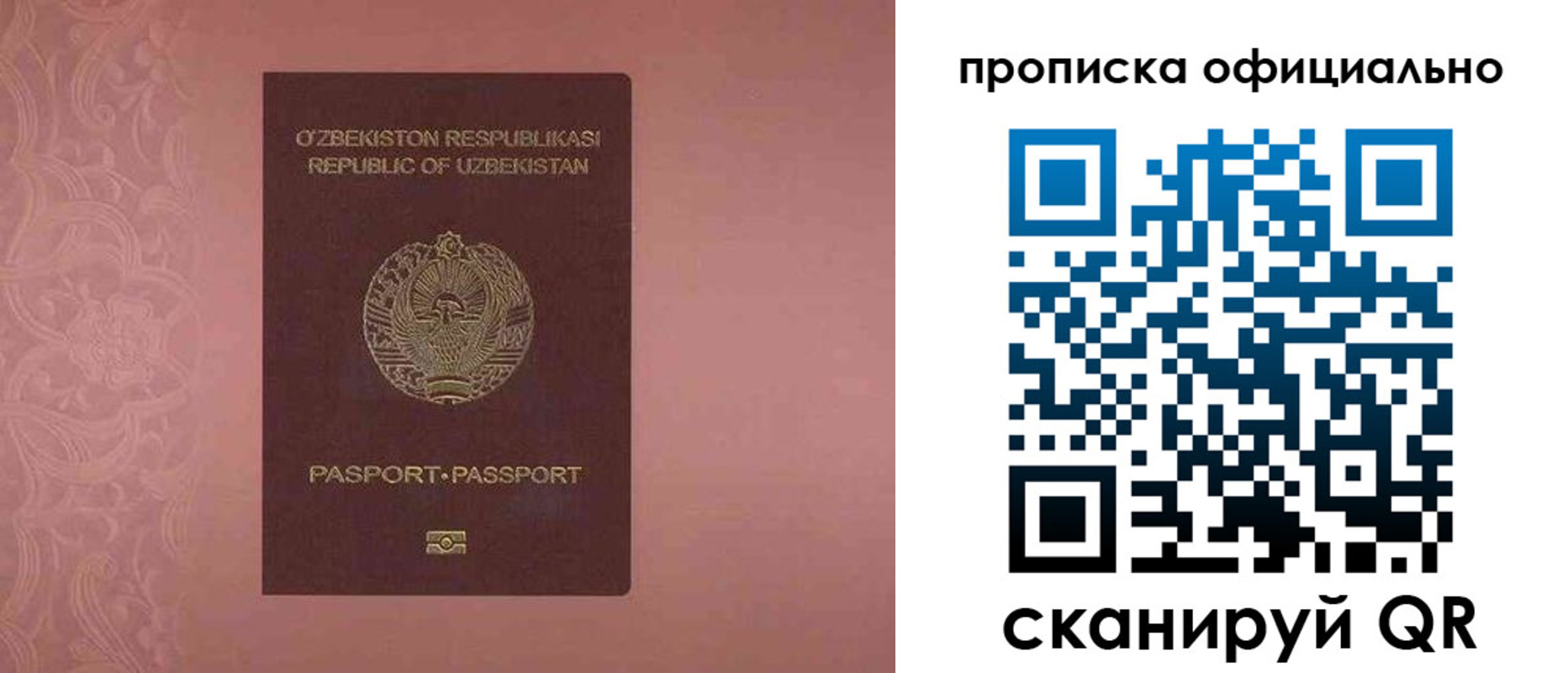 прописка гарантия в Гаджиево
